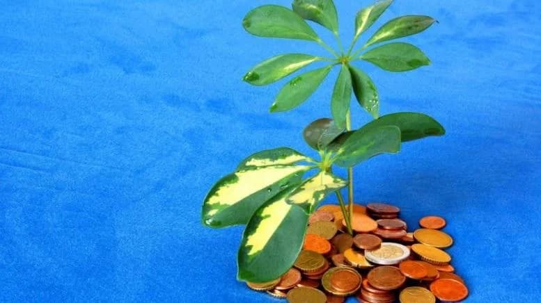 Регистрация компании на Каймановых островах