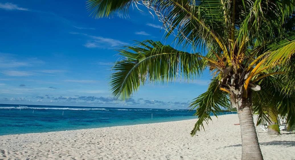 Недавние изменения в Закон о компаниях на Сейшелах