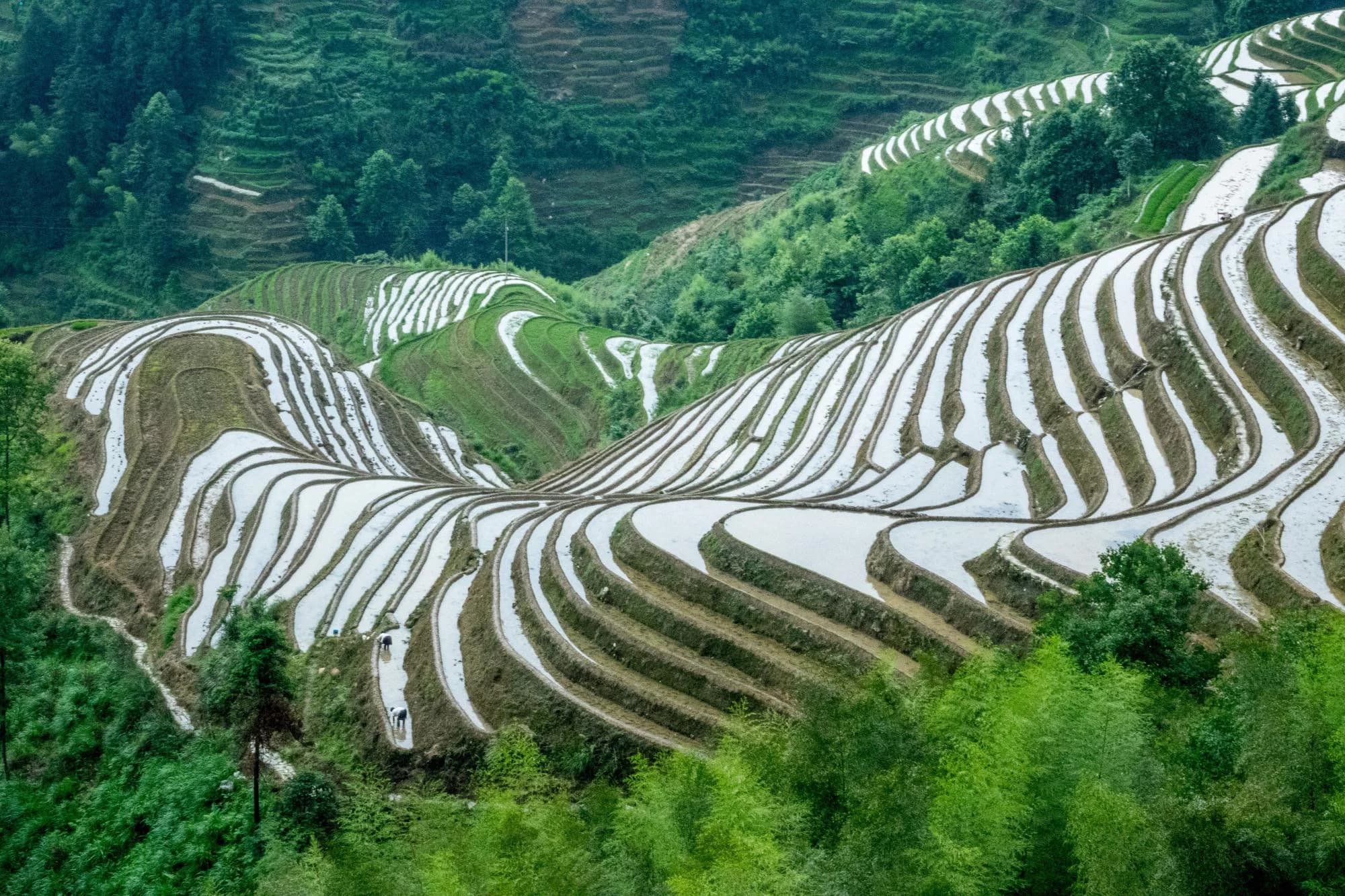 Подписано новое соглашение об избежании двойного налогообложения с Китаем