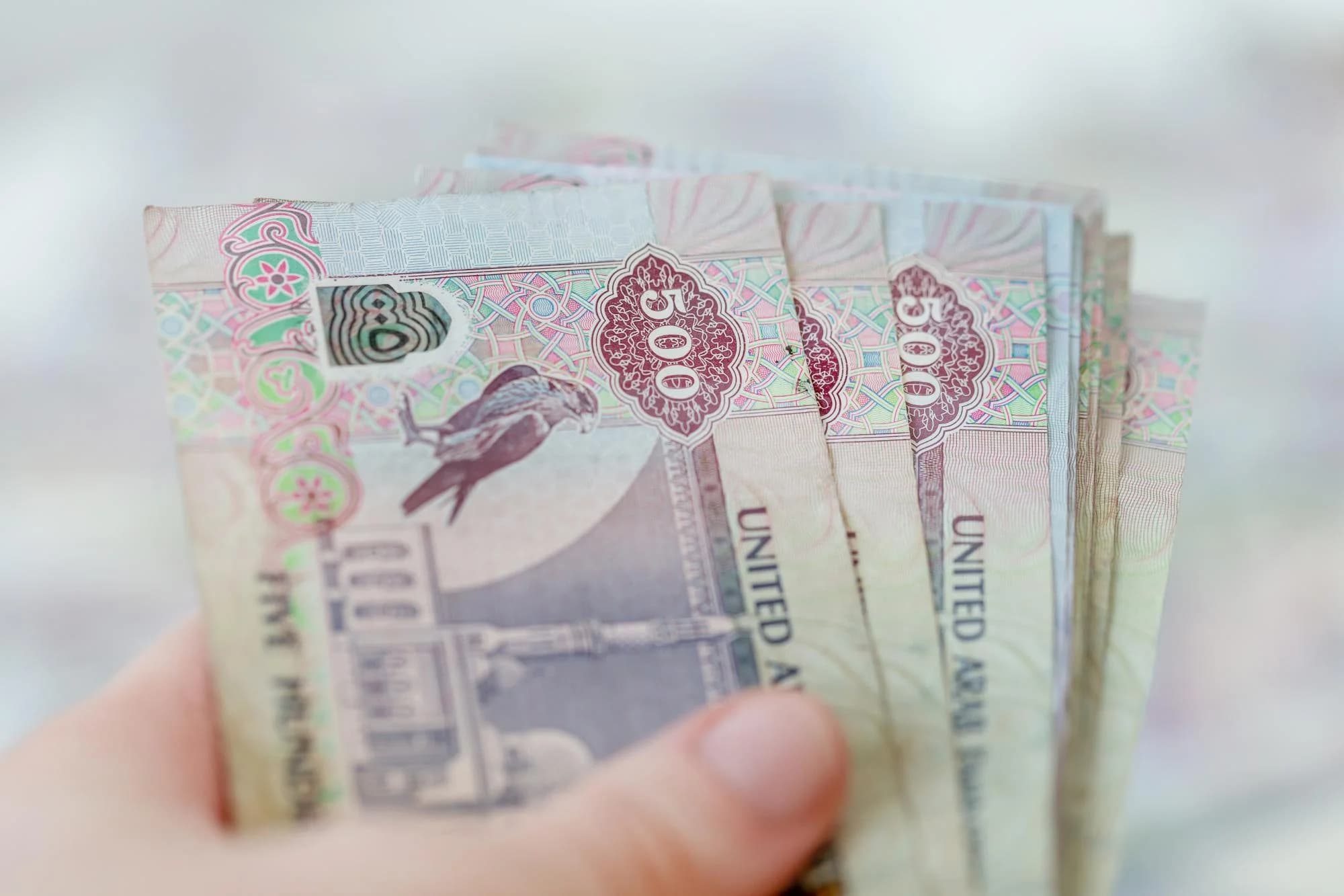 ОАЭ устанавливают новые условия для снижения или освобождения от штрафов