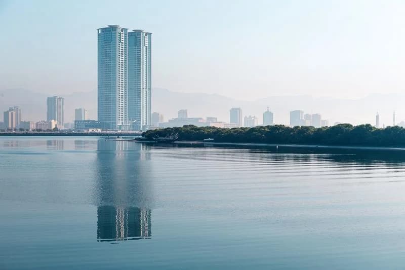 ОАЭ откроет первую в мире СЭЗ для компаний, занимающихся цифровыми и виртуальными активами