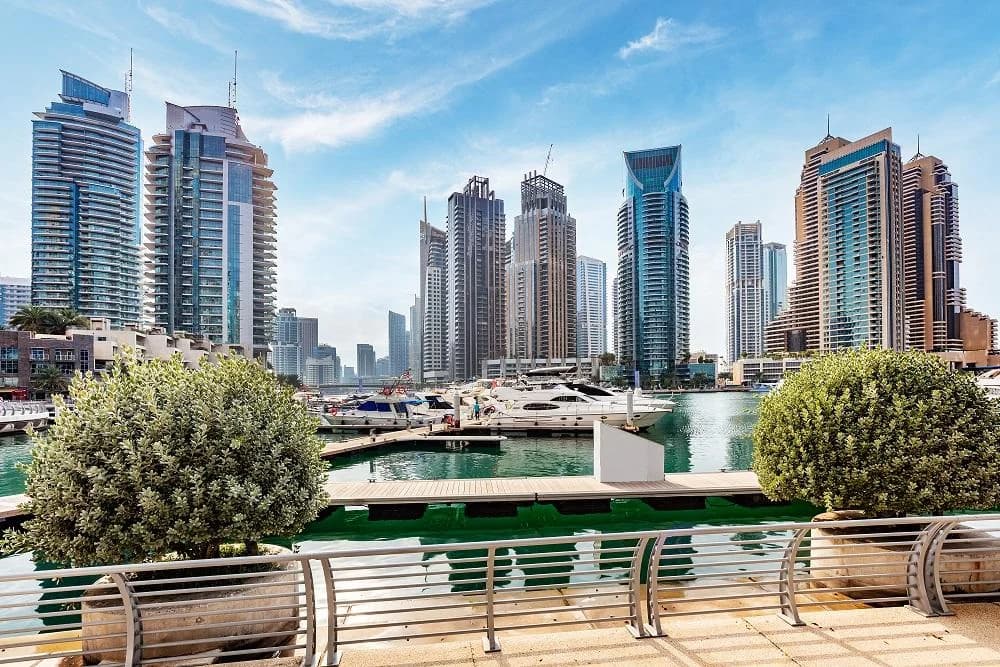 ОАЭ объявляет о новом требовании для компаний по обязательному найму местных сотрудников