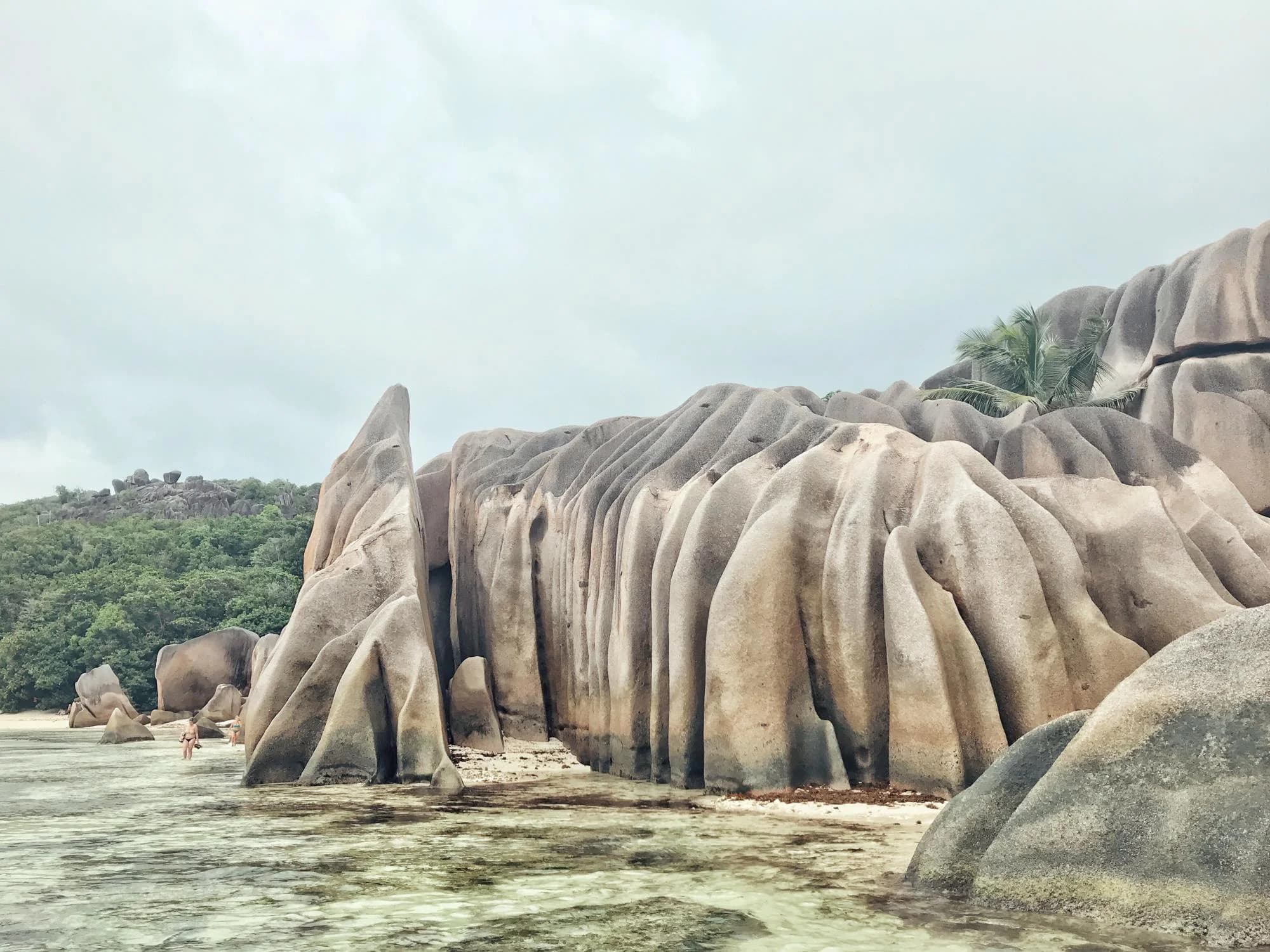 Многостороння конвенция вступила в силу на Сейшельских островах
