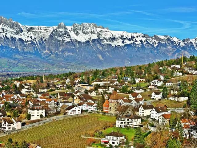 Лихтенштейн требует использования нового портала для операций с НДС с января 2025 года