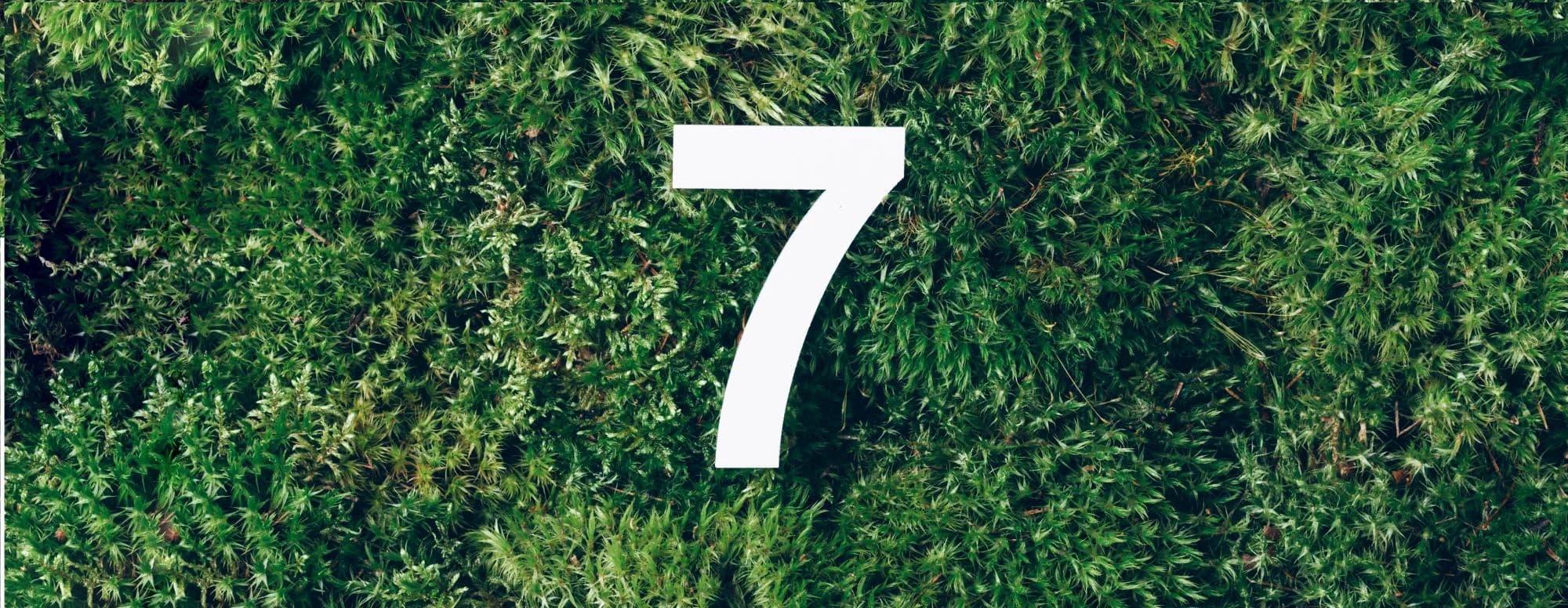 Контролируемые иностранные компании: ценность своевременных действий налогоплательщика