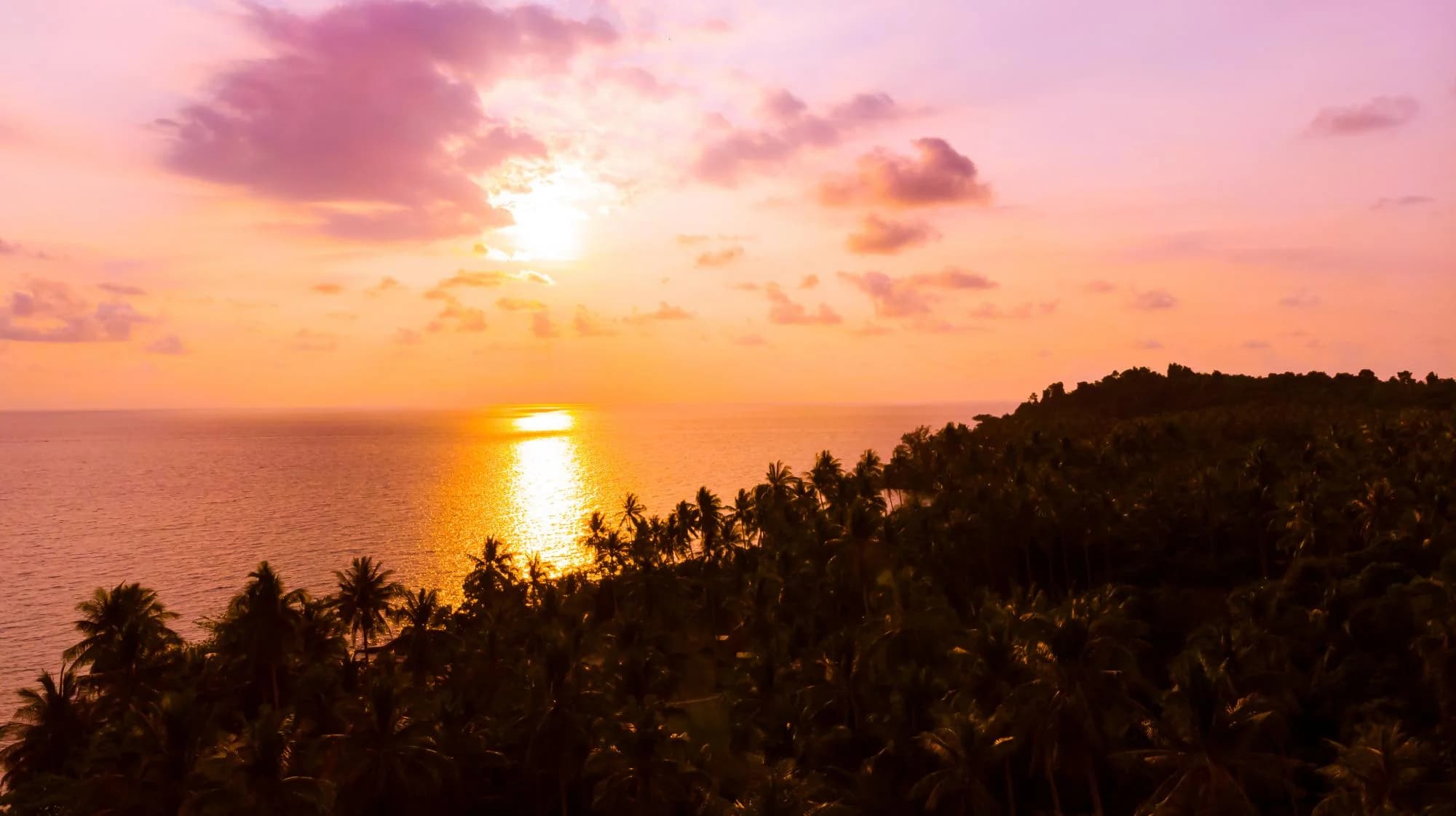 Кнутом и пряником