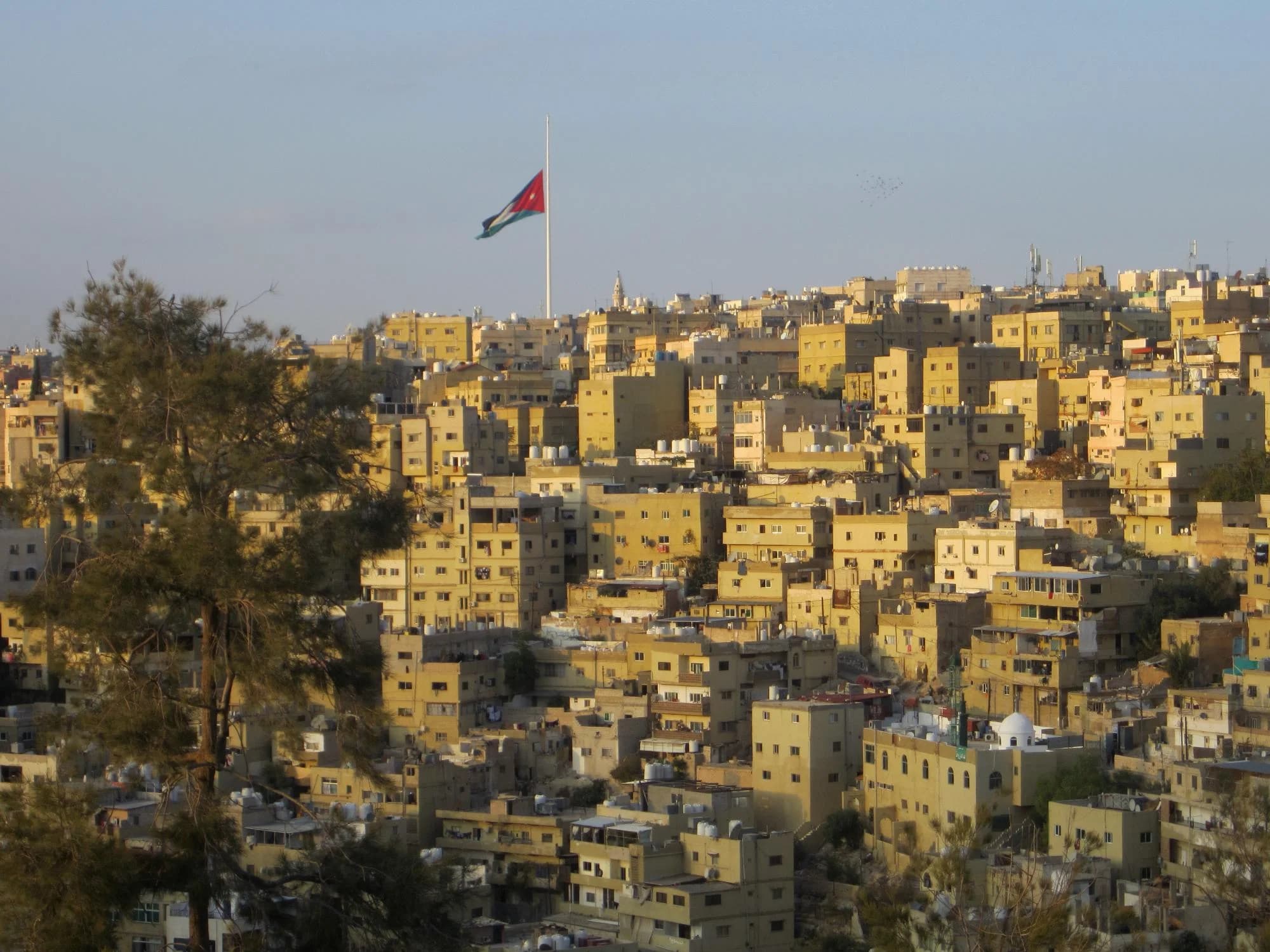 Иордания предлагает налогоплательщикам добровольно зарегистрироваться для уплаты налога с продаж