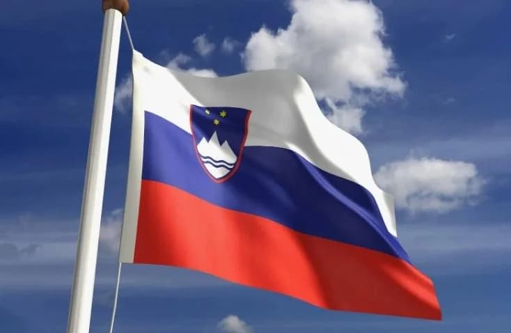 Финансовая отчетность и аудит в Словении