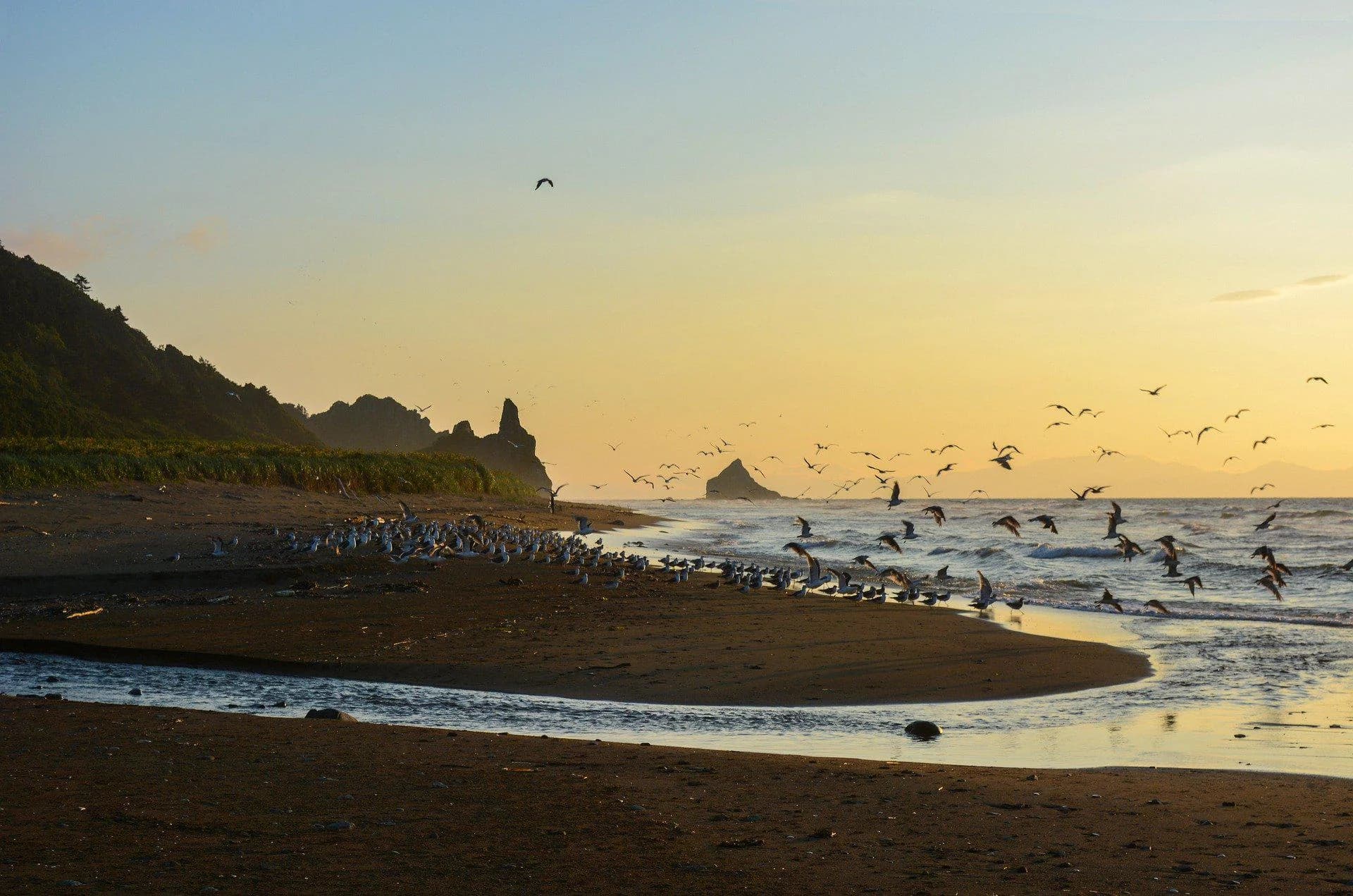 Создать на Сахалине или Курилах оффшорные зоны, предлагает Медведев